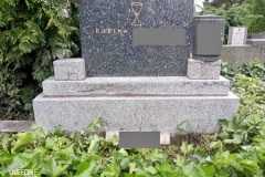 117639752_308156120243646_7227876192014117827_n